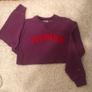 Champion Cropped Sweater